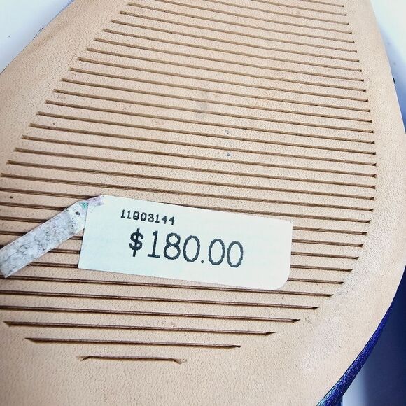 James Chan Nakasey Blue Metallic Sling Back Flat Size 6 Size 9 NWOB - Picture 10 of 12